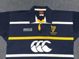 2001* Leinster Training Jersey - L