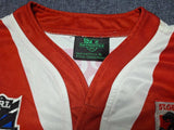 2009 St George Illawarra Dragons Jersey (Signed) - XL - photo 4