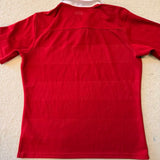 2013 British & Irish Lions Jersey - L - photo 5