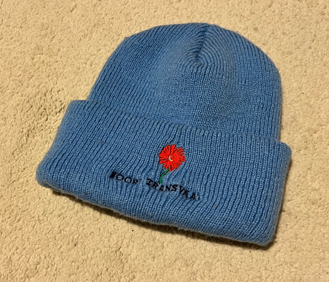 1990s Blue Bulls / Noord Transvaal Beanie