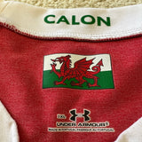 2008 Wales Jersey - L - photo 3