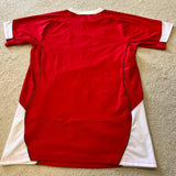 2008 Wales Jersey - L - photo 5