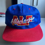 1995 Allan "ALF" Langer Snapback Hat (BNWT)