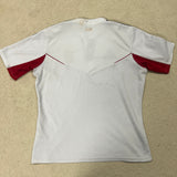 2013 British & Irish Lions Jersey - L - photo 5
