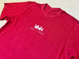 2005 British & Irish Lions Tee - M/L