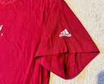 2005 British & Irish Lions Tee - M/L