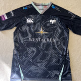2020s Ospreys - XL - photo 1