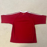 2005 British & Irish Lions Jersey - M