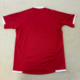 2021 British & Irish Lions Jersey - L/XL (BNWT)