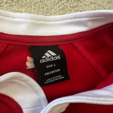 2005 British & Irish Lions Jersey - L - photo 4