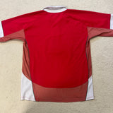 2009* Wales Jersey - M - photo 7