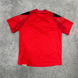 2013 Wales Jersey - S
