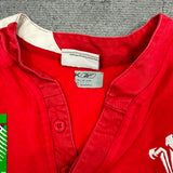 2007 Wales Rugby World Cup Jersey - L - photo 4